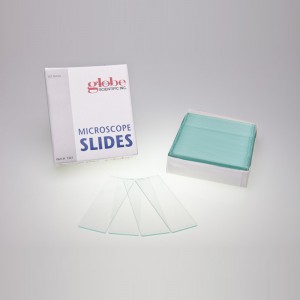 Plain Microscope Slide - Globe Scientific - 1321