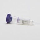 MiniCollect® K3EDTA Tube - Greiner - 450474